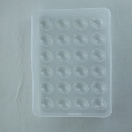 Janta Plastics 24 Eggs Box