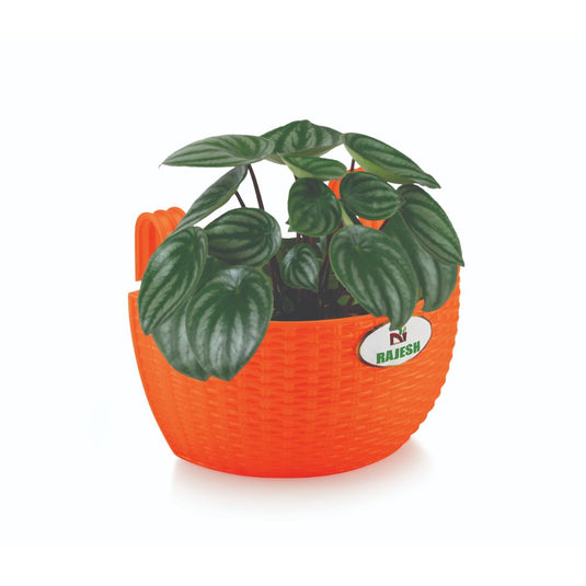 Janta Plastic Jasmine Balcony Pots Multicolor