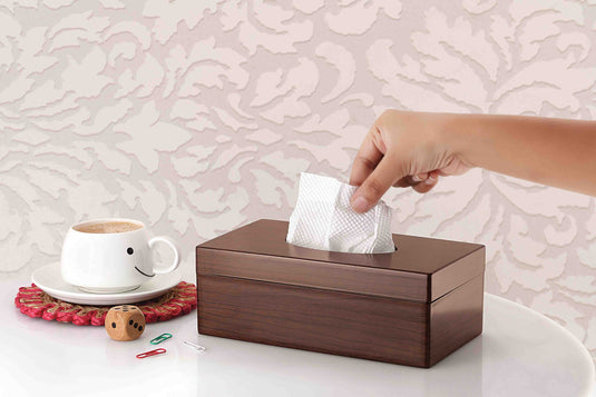 Liza Alpine Tissue Box - Elegant and Durable Tissue Holder with Modern Design for Home and Office Use