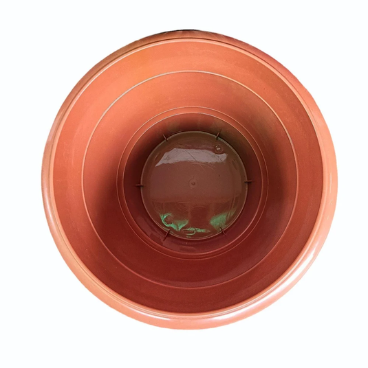 Aristo Planters